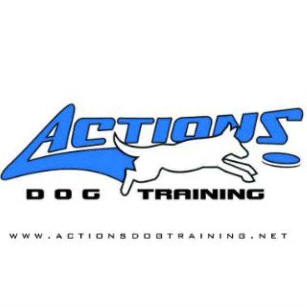 Dog Training Behavior Consultant
