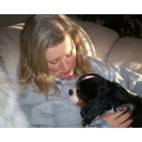 Paws Without Border Madison Wisconsin Logo 