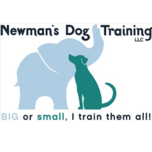 Newman's Dog Training