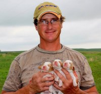 Fox Run Kennels Brook Park Minnesota Logo 