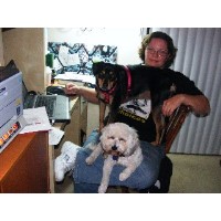 Pet Care by April Highland California Logo 