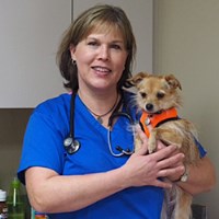 Peace of Mind Veterinary Care and Pet Hotel Burnsville Minnesota Logo 