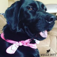 Wiggle Butt Inn Stow Ohio Logo 