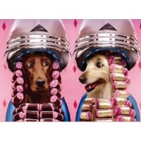 Doggy 'doos Mobile Grooming Port Saint Lucie Florida Logo 