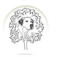 Topdog K9 Services Barrie Ontario Logo 