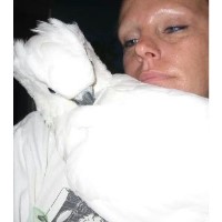 All Critters Pet Sitters LLC Gainesville Georgia Logo 