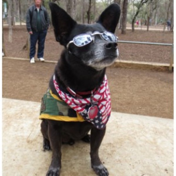 San Antonio Pet Sitters San Antonio, Texas 78201