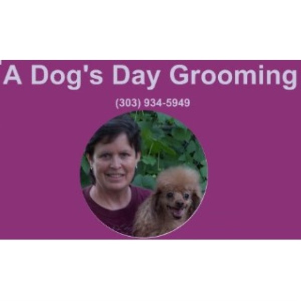 A Dog's Day Grooming