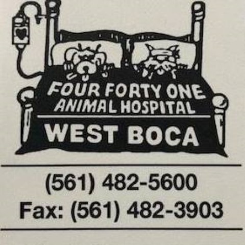 441 Animal Hospital