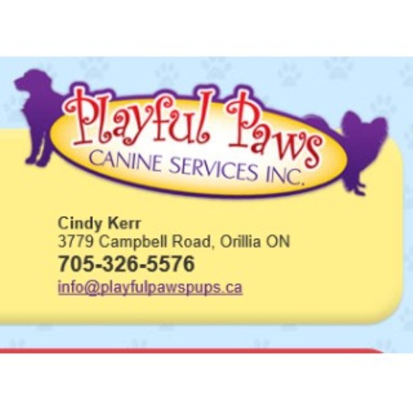 Playful Paws Canine Services Inc