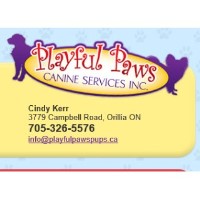 Playful Paws Canine Services Inc Orillia Ontario Logo 