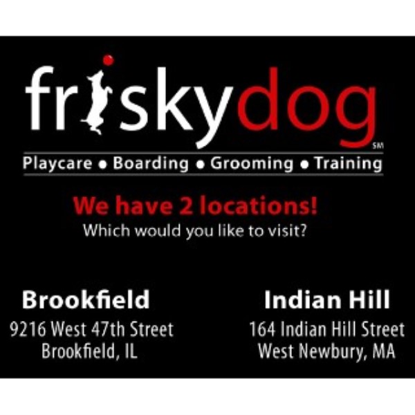 Frisky Dog Daycare