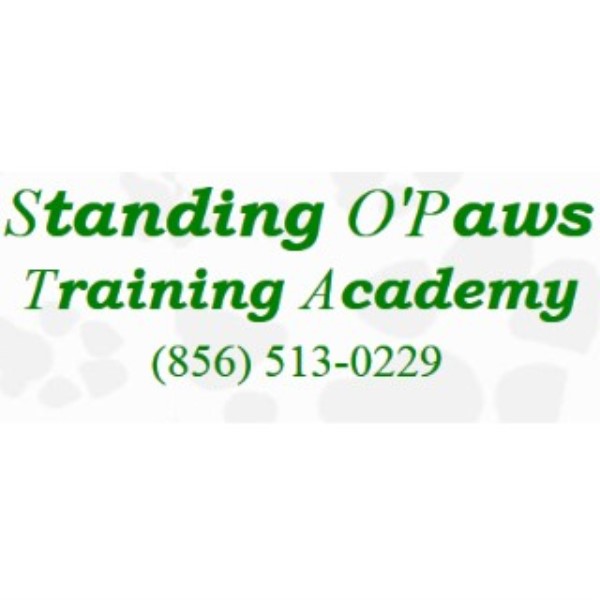 Standing O'paws Training Academy
