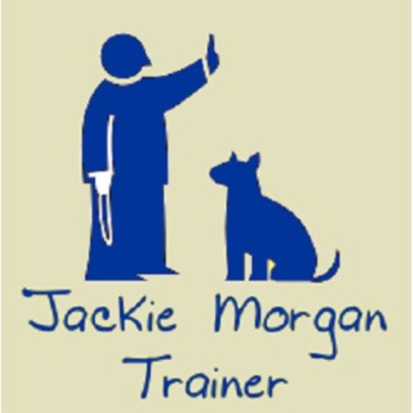 The Canine Perspective, Llc