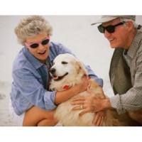 Blanco Kountry Kennels Blanco Texas Logo 