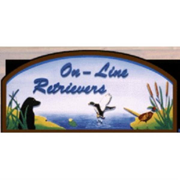 On-Line Retrievers