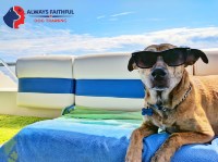 Always Faithful Dog & Puppy Training Annapolis MD Annapolis Maryland Logo 