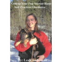 Omega Shepherds Helena Montana Logo 