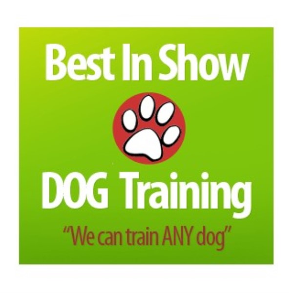 Best In Show Dog Training