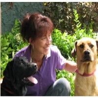 Tlc Dog Trainer Sherman Connecticut Logo 