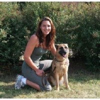 Mighty Mutts Mississauga Ontario Logo 