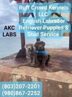 RUFF CROWD KENNELS LLC COLUMBIA South Carolina Logo 