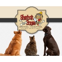 Sherlock Bones Animal Hospital Carmel Indiana Logo 