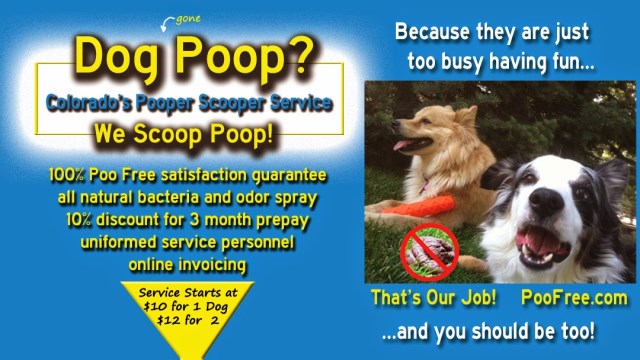 Duty Free Pets Colorado's Pooper Scooper