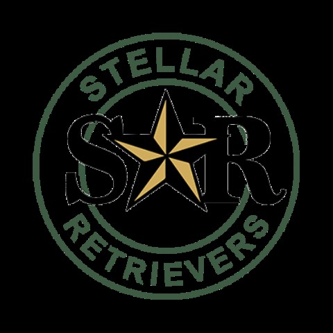 Stellar Retrievers, LLC