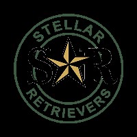 Stellar Retrievers, LLC Bemidji Minnesota Logo 