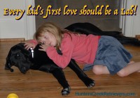 Top Dog Training USA Houston Texas Logo 