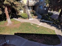 Pinky's Pamper Daycare & Boarding. San Jose California Logo 