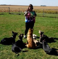 Trekking Dog Trainer LLC Decatur Illinois Logo 