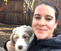 Dog Training Survival Guide Davis California Logo 