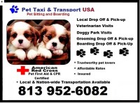 Pet Taxi and Transport USA Ruskin, (Tampa Bay) Florida Logo 