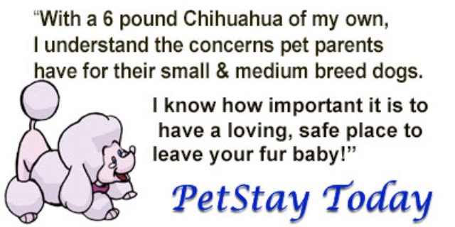 Pet Stay Today