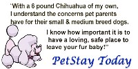 Pet Stay Today Whitesboro New York Logo 