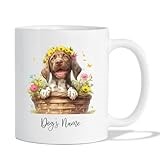 German Shorthaired Pointer thumbnail