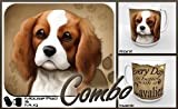 Cavalier King Charles Spaniel thumbnail