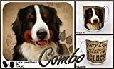 Bernese Mountain Dog thumbnail