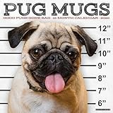 Pug Mugs 2026 12" x 12" Wall Calendar