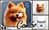 Pomeranian thumbnail