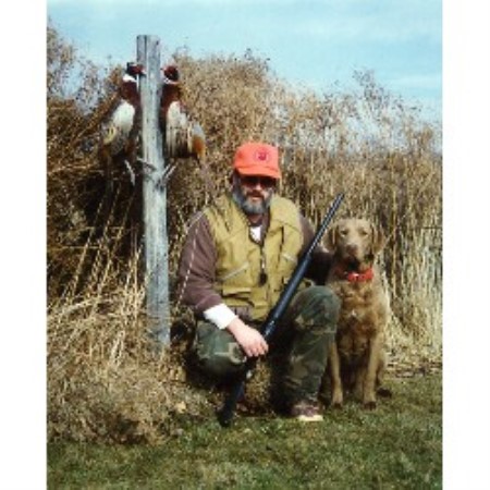 Chesapeake Bay Retriever Breeder 9027