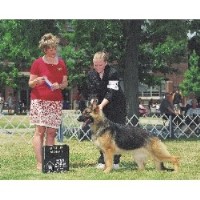 Wyman Kennels German Shepherd Dog breeder