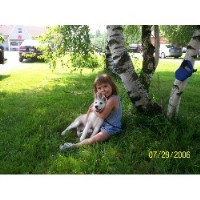 Snowdancer Kennels Siberian Husky breeder