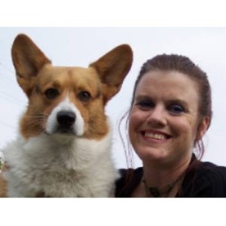 Angelic Paws Pembroke Welsh Corgi Breeder In Fresno