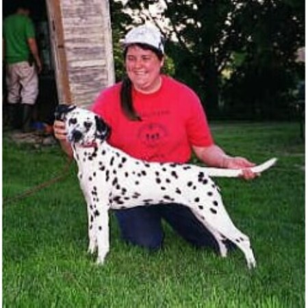 Dalmatian Breeder 13338