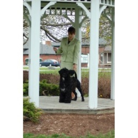 Dog Training Brewer Maine Dog Training Brewer Maine