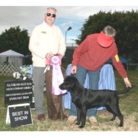 Longplain Kennels, Reg'd.