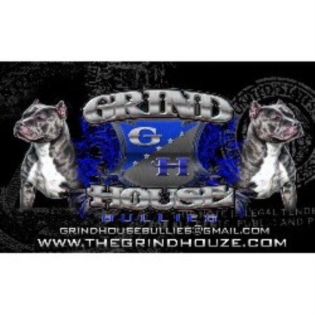 bullies grindhouse florida whatsapp reddit email